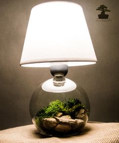 a lamp that is on top of a table with rocks and plants in the bowl