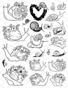 the various types of snails are drawn in black and white, with different colors