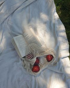 an open book and two red apples on a white blanket in the grass next to each other