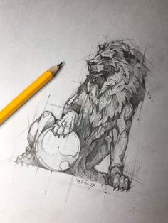 a pencil drawing of a lion holding a ball