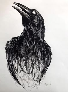 a drawing of a black bird with long hair