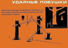 an orange book cover with black and white illustrations on it's front, in russian