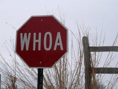 a red stop sign sitting in front of some tall grass and a wooden fence with the word who on it