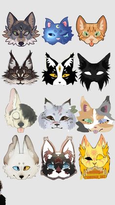 a bunch of different types of cats on a white background with the same color as their eyes