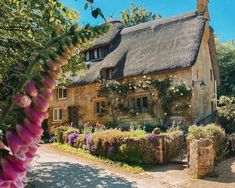 an old stone house with thatched roof and flowers in the foreground on a sunny day