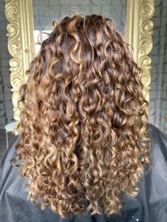 Caramel Highlights Curly, Caramel Highlights Curly Hair, Natural Curly Hair Cuts, Honey Brown Hair, Brown Curly Hair