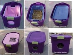 an instagram page with pictures of cats in purple containers and text that reads, kentucky humane society community