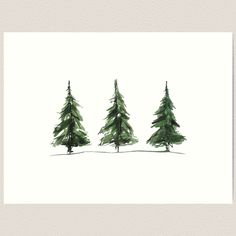 Lightly textured 100% cotton paper. Gallery quality vibrant prints with white border for easy framing. Multiple standard sizes offered. Additional sizes are available. Three Pine Trees Watercolor Sketch Trees Watercolor, Watercolor Tree, Watercolor Trees, Watercolor Sketch, Douglas Fir, Pine Trees, Vibrant Prints, Cotton Paper, White Border