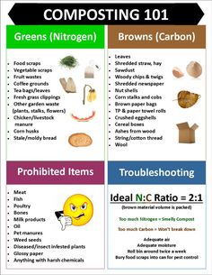 an info sheet describing the different types of composting items