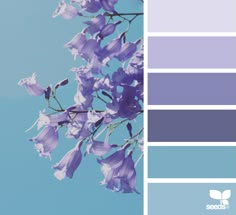 purple and blue color scheme with flowers