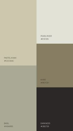 the different shades of brown, beige and black are featured in this color scheme for interior paint