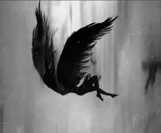 a black and white photo of a bird flying through the air