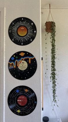 three vinyl records are hanging on the wall next to a plant and potted plant