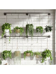 several potted plants are hanging on a brick wall