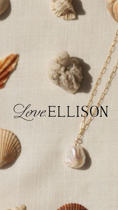 seashells and shells on a white background with the word love illusion written below them