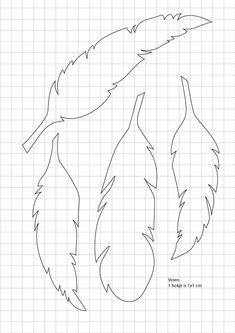 an app that shows how to draw feathers on the screen, and then cut them out