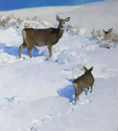 three deer are standing in the snow together