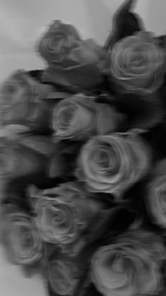 black and white photograph of a bunch of roses with blurry effect in the background