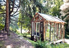 a small wooden building sitting in the middle of a forest