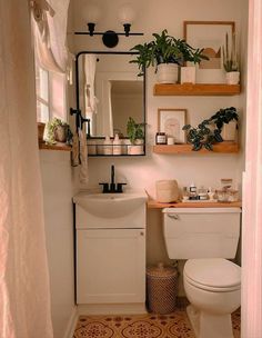 a bathroom with a toilet, sink and plants on the shelf above it's mirror