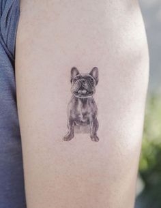 a small black and white dog tattoo on the left upper half of the right arm