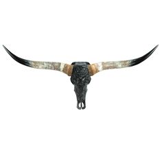 a bull's skull with long horns is shown against a white background