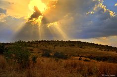 the sun shines through clouds over a grassy hill with trees and bushes in the foreground