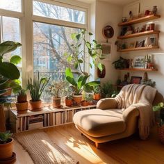 a living room filled with lots of plants next to a large window covered in potted plants