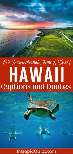 the cover of hawaii's travel guide with an image of a turtle swimming in the ocean