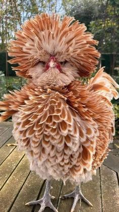 a stuffed bird sitting on top of a wooden table next to trees and bushes in the background