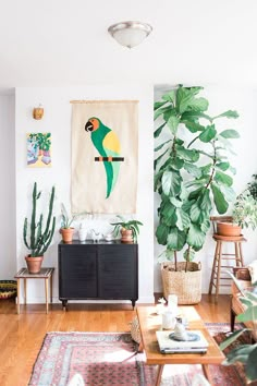 a living room with plants and pictures on the wall, in an instagramr