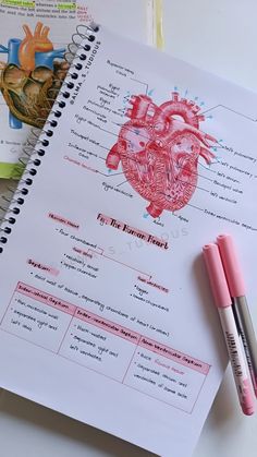 an open notebook with a diagram of the human heart on it and two markers next to it