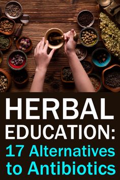 Herbal Medicine Cabinet, Medicine Recipes, Herbal Education, Natural Antibiotic, Herbal Medicine Recipes, Herbal Remedies Recipes, Healthy Remedies, Herbs Garden, Survival Books