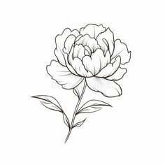 the outline of a flower is shown on a white background royalty illustration for coloring books