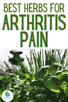 Pain Relief Remedies, Natural Healing Remedies, Natural Sleep Remedies, Home Health Remedies, Herbs For Health, Joints Pain Relief, Natural Pain Relief, Healing Herbs