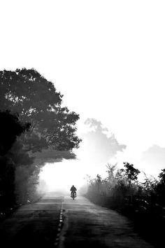 a person riding a motorcycle down a road in the middle of some trees and bushes