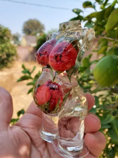 a hand holding a glass vase filled with water and strawberries on top of it