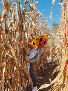 a person holding two pumpkins in a corn field