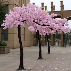 three trees with pink flowers are in the middle of a sidewalk near a large building