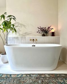 a white bath tub sitting on top of a rug next to a potted plant