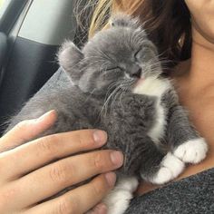 a woman holding a cat in her arms while sitting in the back seat of a car