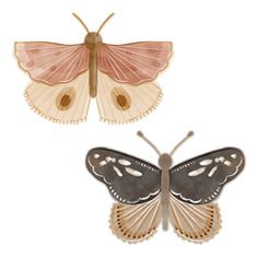 two butterflies with different colors and patterns on them, one is brown and the other is pink