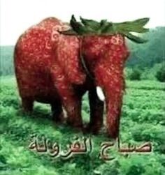 two red elephants standing next to each other on a lush green field