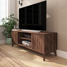 a flat screen tv sitting on top of a wooden entertainment center next to a potted plant