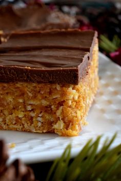 two pieces of chocolate and coconut bar on a white plate with pine branches in the background