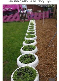 a row of white tire planters filled with plants