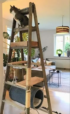 a cat sitting on top of a wooden ladder