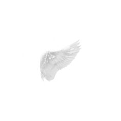 a white bird flying in the sky with its wings spread