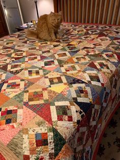 an orange cat sitting on top of a bed covered in colorful patchwork quilts