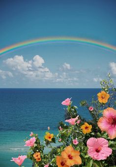 a rainbow is in the sky over some flowers by the ocean with a blue sky